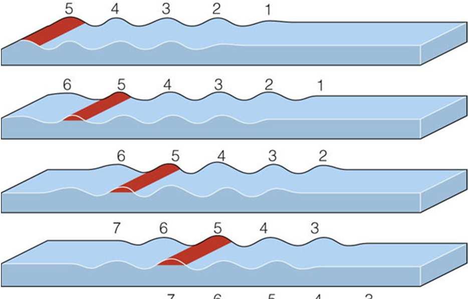 Grupos de Ondas Dispersão das Ondas A separação ou dispersão das ondas é uma função do comprimento de onda.