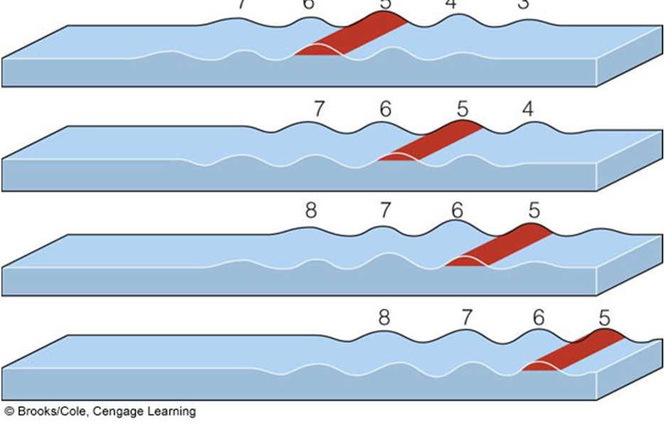 A suave agitação da superfície do oceano causada pela dispersão das ondas é designada por ondulação. (Fig.