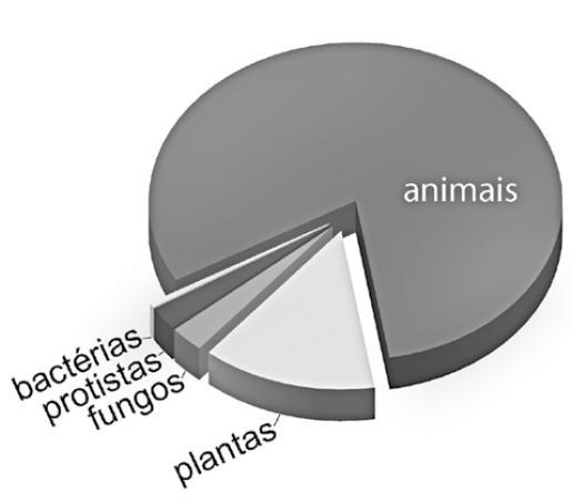 Questão 26 - (UDESC SC/2013) Existem diferenças entre a organização das estruturas dos artrópodes. Em relação ao enunciado, associe as colunas. a) nematodo. b) equinodermo. c) platelminto.