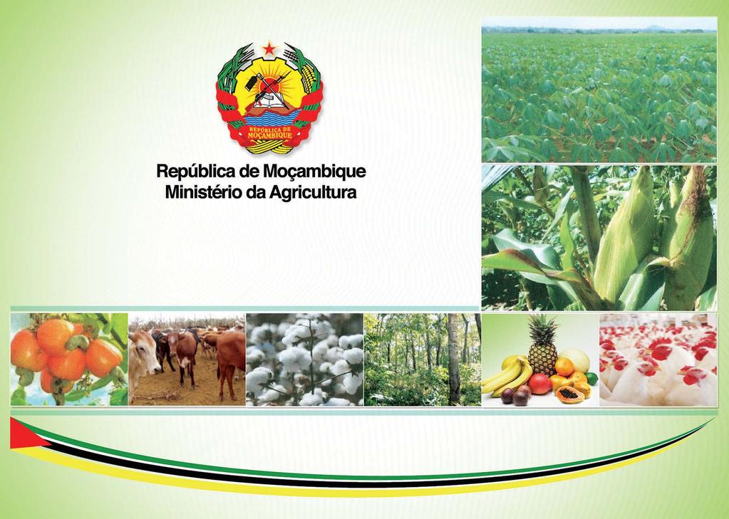 Actualização de Uso de Insumos Agrícolas em Moçambique Workshop sobre Impacto a longo