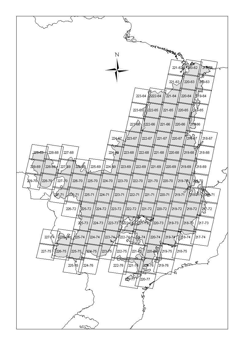 Figura 1 Distribuição das imagens do satélite LANDSAT5 TM no bioma Cerrado. 3.