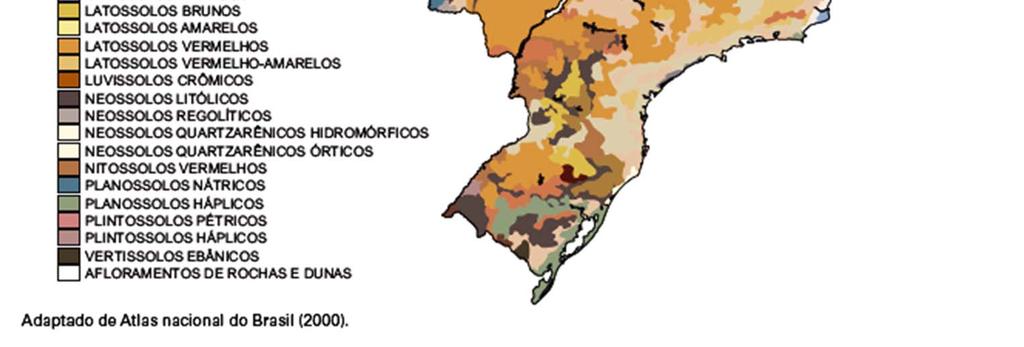 15,57% NEOSSOLOS 5,95% PLINTOSSOLOS