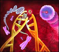 MECANISMOS DE REPARO Revertem os efeitos de processos mutagênicos artificiais ou naturais do DNA.