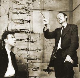 DNA 1953 - James Watson e Francis Crick baseado na cristalografia de raio X de Rosalind Frank e M.