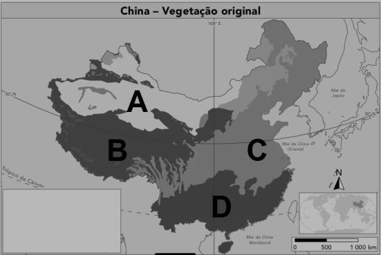 c) Identifique: Vegetação 1: Vegetação 2: Vegetação 3: Vegetação 4: 17. Identique as principais medidas adotadas por Mao Tsé Tung quando assumiu o poder na China (1949) quanto à políca e à economia.