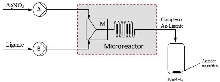 duas bombas peristálticas (Figura 4) e injetas no microreator de