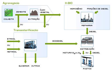 Neste sentido, o processo H-BIO contribui para a produção de óleo diesel usando uma parcela de matéria-prima renovável.
