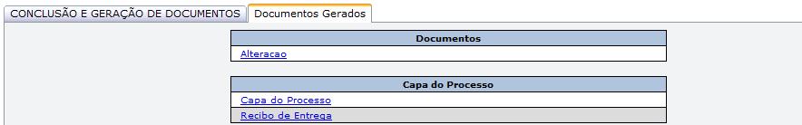 Conclusão e Geração de Documentos Informe o nome do responsável representante da pessoa jurídica, telefone do representante e e-mail.