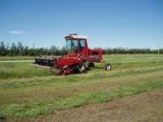 A desvantagem desse equipamento é que apresenta baixa velocidade de operação além de promover dilaceração