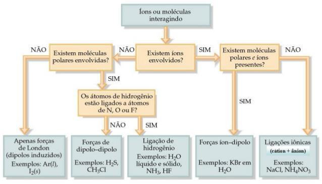 IDENTIFICAÇÃO DAS