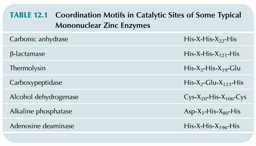 Três tipos básicos de sítios de zinco presentes em