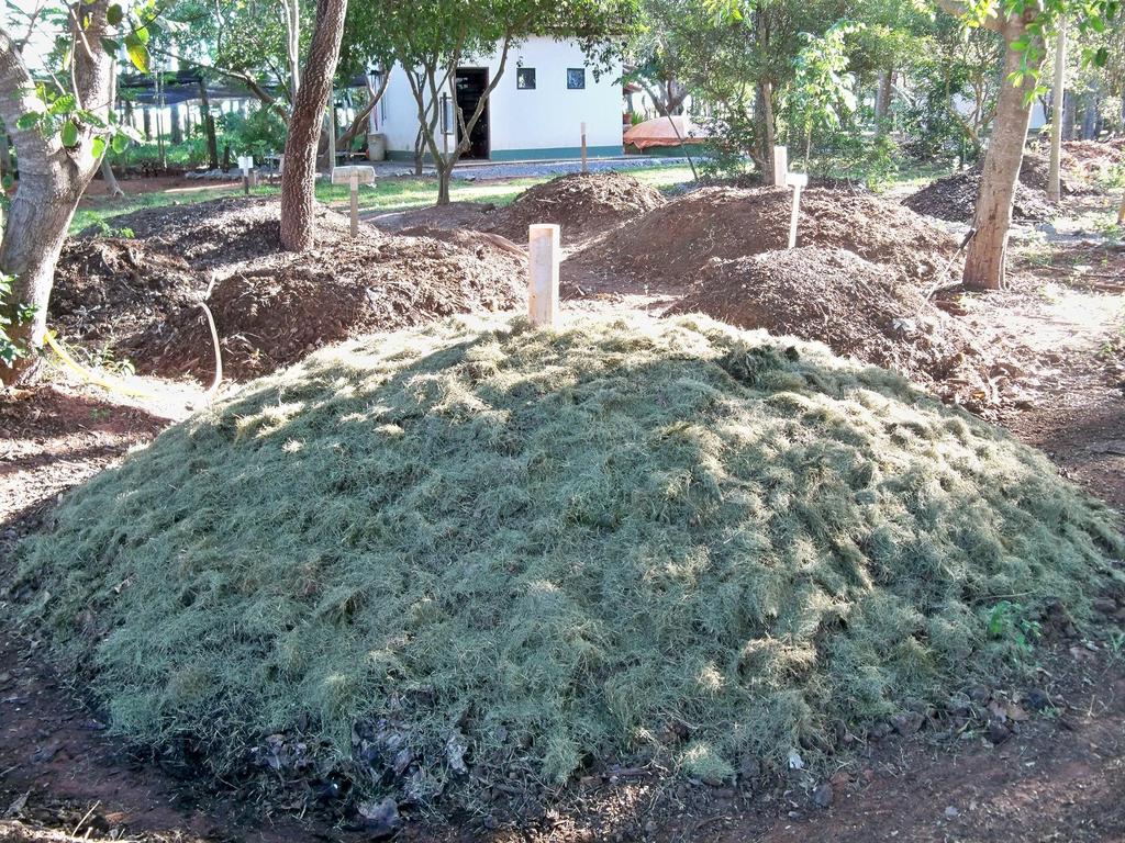 As mensurações das temperaturas foram obtidas através de um termômetro de mercúrio até 20 cm de profundidade e com uma barra de ferro de 1,0 metro, introduzida até o centro da pilha por 30 minutos.