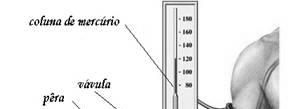 Pressão arterial PRESSÃO = Fluxo X Resistência Pressão arterial mmhg onde 1 mmhg = 13,6