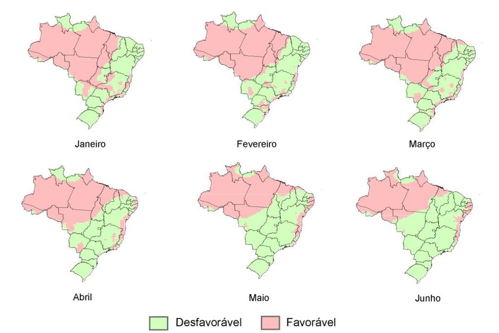 FIGURA 3. Favorabilidade climática à incidência da ferrugem tropical, causada por Physopella zeae.