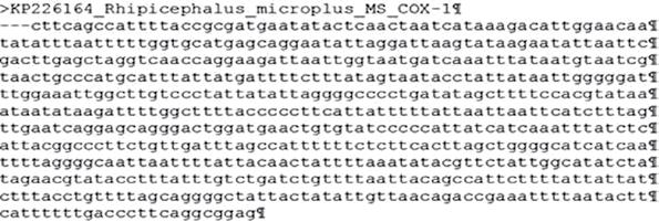 Capítulo 7 Protocolos para estudos de variabilidade genética em populações de carrapatos 149 obtidas da análise realizada pelo programa BLASTn. O programa Mega 6.0 (TAMURA et al.