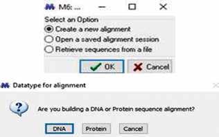 150 Protocolos para estudos de variabilidade genética em populações de carrapatos Capítulo 7 Abrir o arquivo, copiar todas as informações e colar no programa Mega 6.0 (http:// www.megasoftware.net/).