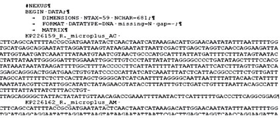 Capítulo 7 Protocolos para estudos de variabilidade genética em populações de carrapatos 151 FORMAT DATATYPE=DNA missing=n gap=-; MATRIX No final de cada nome das sequências terá um parágrafo, troque