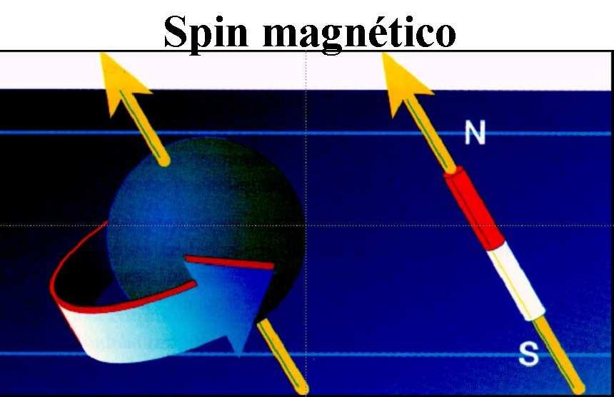 ausência de um campo magnético externo, os núcleos se organizam de modo a buscar uma situação de menor energias e acabam anulando o campo um dos outros.