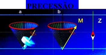 Figura 4: Movimento de precessão do momento magnético do núcleo sob o efeito do campo magnético principal, do equipamento.