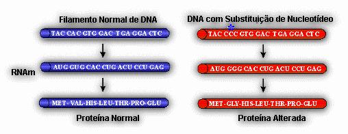 Mutações génicas