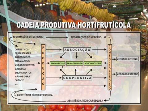 MERCADS PARA HRTIFRUTI dílio Sepulcri Edison J Trento QUE É UM MERCAD?