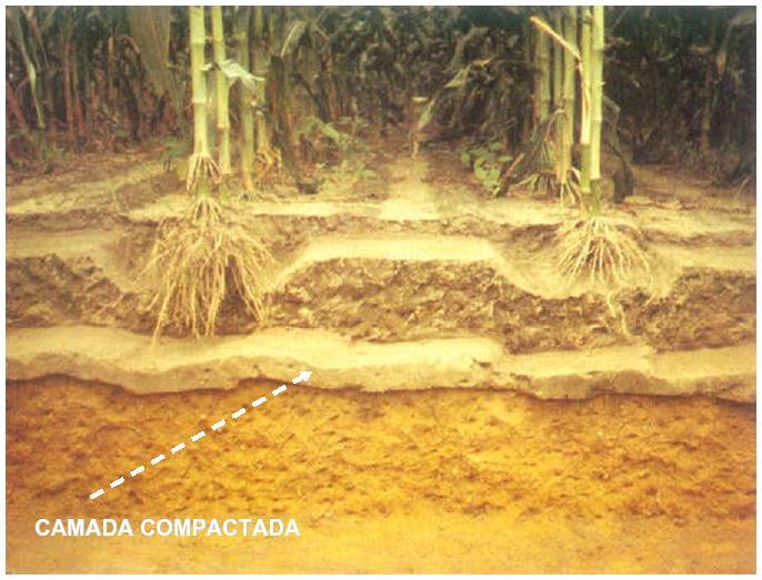 99 Carga aplicada sobre o solo (maior a carga, maior a compactação); Granulometria do solo (quanto mais argiloso, maior a compactação).