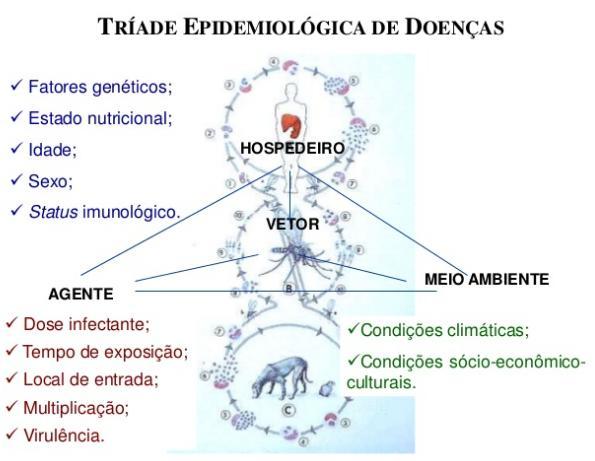 Teorias multicausais