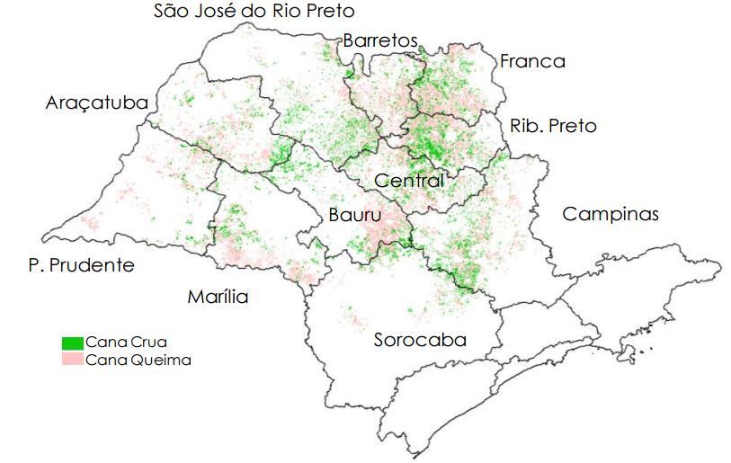 Evolução da colheita da Cana no Estado