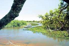 Biológica Proteção integral REBIO Córrego Grande -