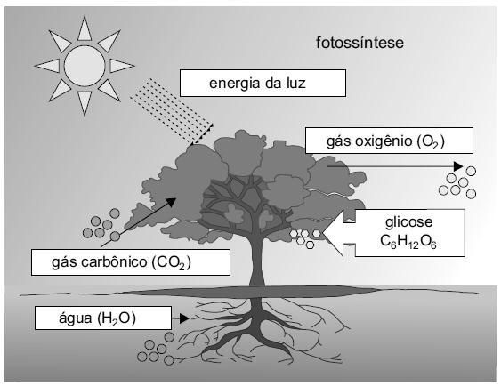 DISCIPLINA: QUÍMICA ANO: CURSO APS ( X ) COLÉGIO DELTA 35 ANOS APAIXONADO PELA EDUCAÇÃO Prof.: SECÃO DATA: 07/03/07 Nome: 0 - (UNESP SP) Foram queimados 4,00 g de carvão até CO em um calorímetro.