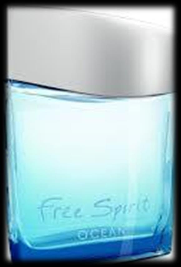 Free Spirit Ocean Perfil de Consumidor Homens joviais, casuais e desapegado Preferência por fragrâncias Fougére Aquoso Topo: Bergamota