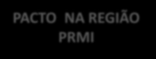 PRMI Comitê Regional PACTO