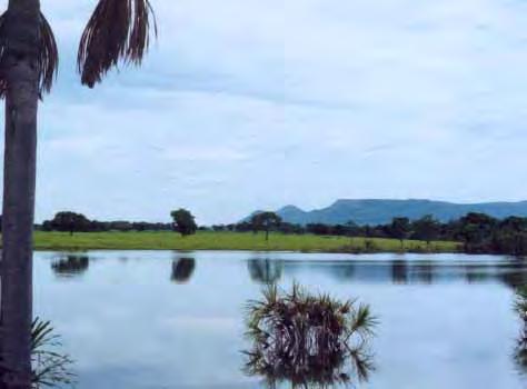 Equipe Sistema Santa Fé (2001) "Cultivar a terra e criar animais são as mais nobres atividades praticadas pelo homem. Produzir alimentos vegetais é a magia de colher o sol.