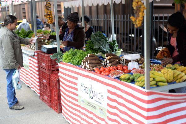 Nos supermercados, são 55% que percebem o selo, frente à 22% na