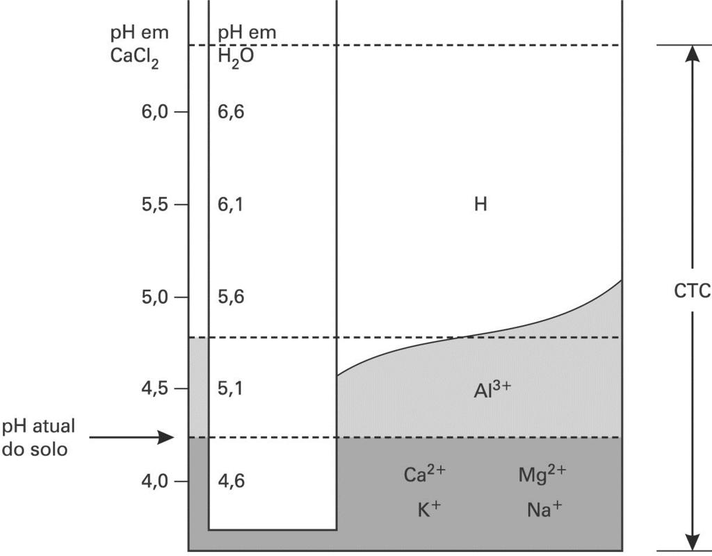 Acidez e