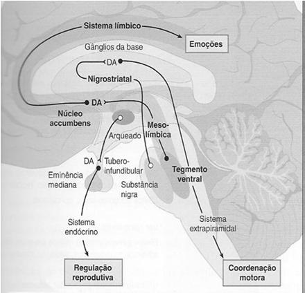 Sintomas negativos: redução de ativação dos receptores dopaminérgicos no córtex pré frontal Teoria da serotonina Clozapina e Risperidona Antidopaminérgicos e bloqueadores de receptores 5-HT2