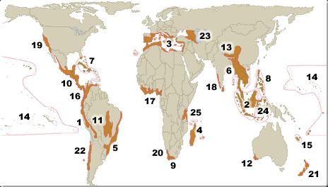 As regiões mais ricas e ameaçadas do planeta: Hotspots 1 Andes Tropicais; 2 Sundaland (Indonésia); 3 Mediterrâneo 4 Madagascar e Ilhas do Oceano Índico;