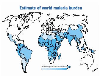 Estimativa do risco mundial da malária