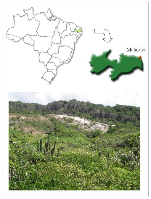 Figura 2 - Localização do município de Mataraca no