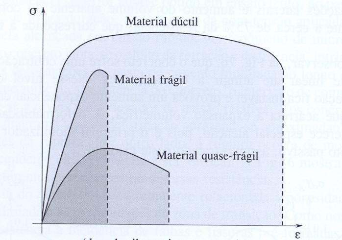 1. Caracterização do CAR