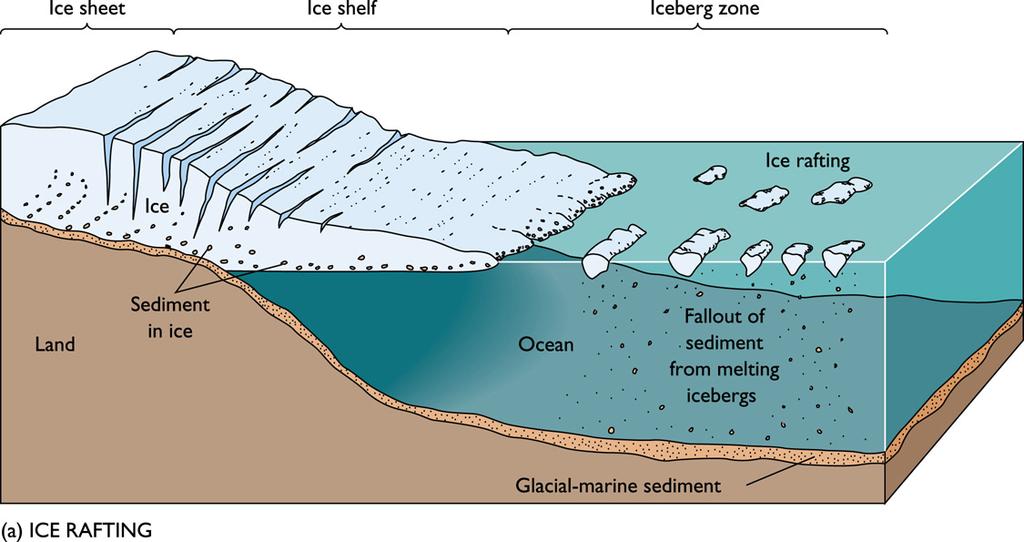 Latitudes polares Modo particular de transporte massivo de sedimentos para mar profundo: deriva de gelo - icebergs