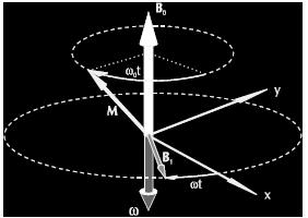 Aplicando-se campo B1 Para que uma corrente elétrica seja induzida em uma bobina posicionada de forma perpendicular ao plano transversal e necessário que o vetor magnetização como um todo, ou parte