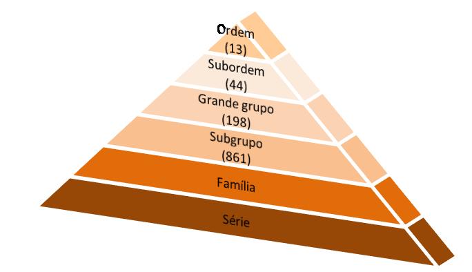 FORMAÇÃO E CARACTERIZAÇÃO DOS SOLOS 2017-1 0 SEMESTRE UFPR/DSEA PROF. MARCELO RICARDO DE LIMA 48 7.