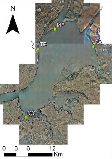 O estuário do Tejo NÍVEL DO