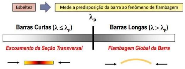 3. INSTABILIDADE POR FLEXÃO, OU FLEXO 3.