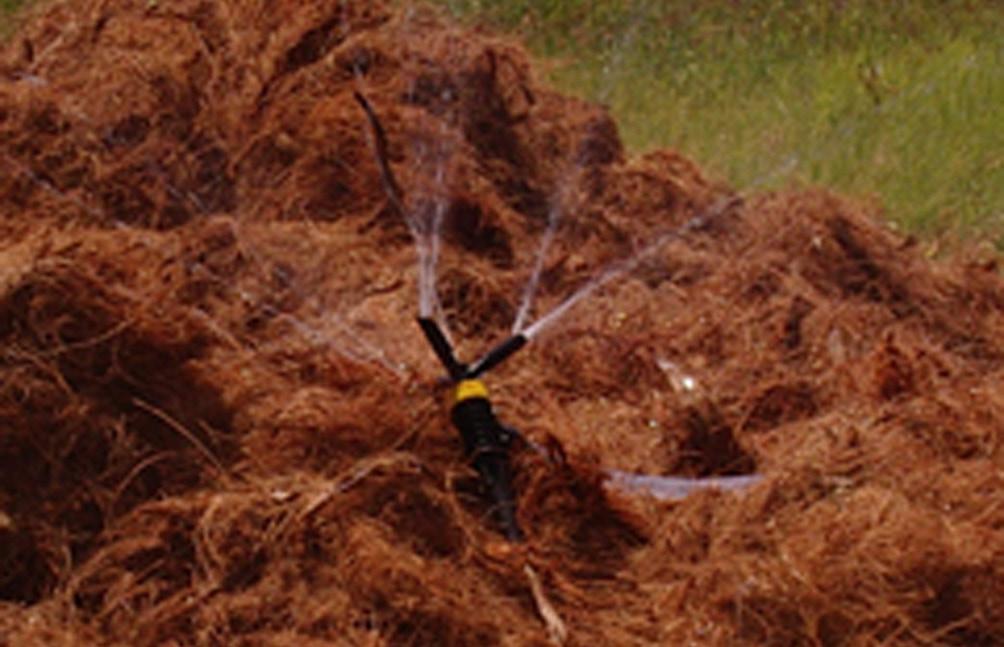 4 Tecnologia para Biodegradação da Casca de Coco Seco e de Outros Resíduos do Coqueiro cultivo em campo não há necessidade de lavagem.