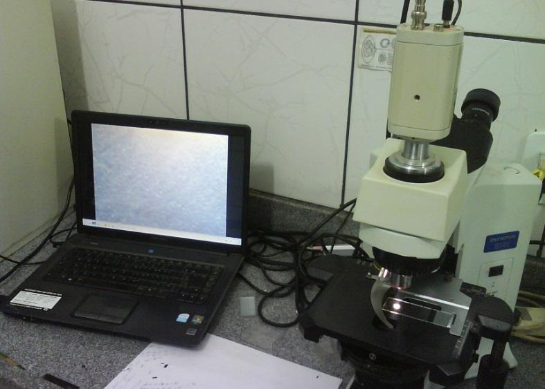 20 FIGURA 2 Microscópio óptico com contraste de fase (BX41TF, Olympus, Japão), com filmadora ligado em sistema de captura de vídeo e imagem utilizado para análise seminal. 3.4 Tratamentos 3.4.1 Diluição Antes da colheita do sêmen era realizada o preparo de uma solução estoque a 10 milimolar (mm) de cisteína.