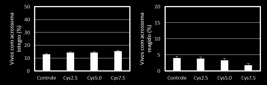 36 acrossoma íntegro (46,6; 42,2; 40,2 e 38,8%), e menor proporção de células mortas com acrossoma reagido (37,2; 40,4; 42,9; 44,6%) (Controle, Cys2.5, Cys5.0 e Cys7.5, respectivamente).