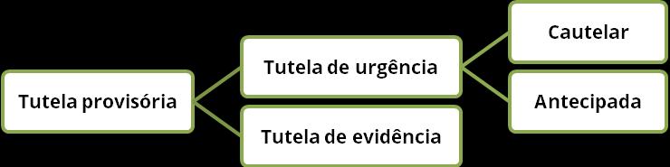 3.1. Conceitos e generalidades.