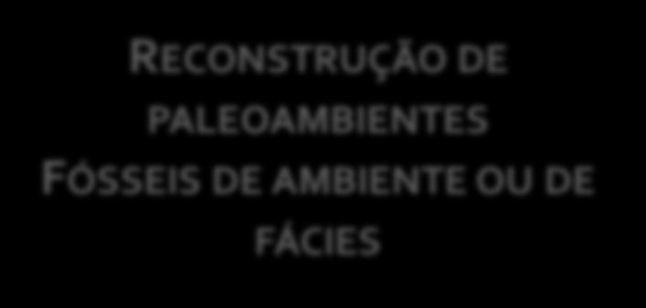 Tipos de FÓSSEIS RECONSTRUÇÃO DE GEOCRONOLOGIAS FÓSSEIS DE IDADE